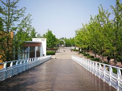 -大兴滨河森林公园