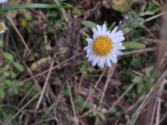 -玉龙雪山蓝月谷