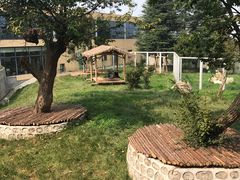 -西安秦岭野生动物园