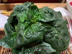笨菠菜-巴奴毛肚火锅(商城路店)