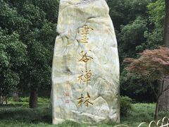 -灵谷景区