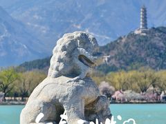 -颐和园