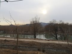 -东方巨龟苑景区