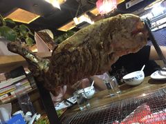 -柿子树炭烤羊腿(金台路店)