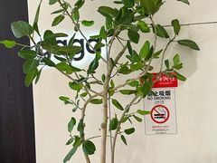 -gaga(深圳南山益田假日广场店)