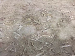 -二连浩特国家地质公园