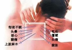 -薇薇安花系SPA