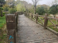 -上海鲜花港