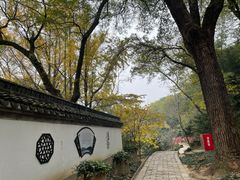 -上海佘山国家森林公园天马山园