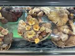 -野菌王•养生汤锅•野生菌火锅(大理漾濞路店)