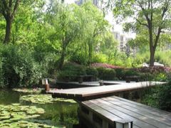 -陈家山荷花公园