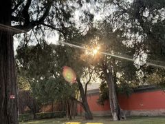 -王府茶宴(大观园总店)