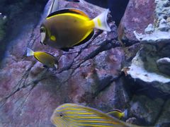 -成都浩海立方海洋公园