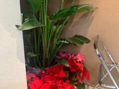 -Fridi Patisserie Cafe