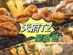 -星巴克(成都天府机场2店)