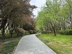 -尚贤河湿地