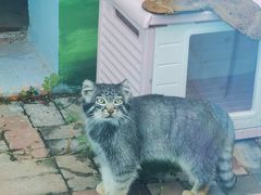 -青藏高原野生动物园