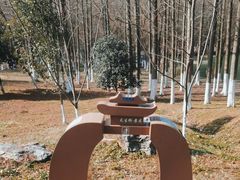 -天生桥景区