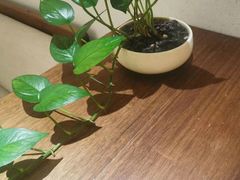 -常乐·对症推拿(财富Mall店)