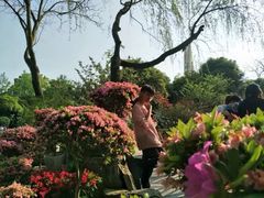 -南山植物园