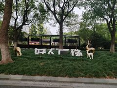 -昆山城市生态森林公园