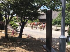 -天龙八部武侠城
