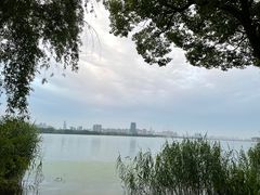 -上海市保健医疗中心