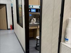 -半岛宠物医院24小时(西派城店)