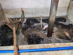 -杨柳河(地铁站)