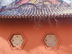 -桃花堤公园