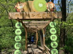 -大岭沟猕猴桃谷风景区