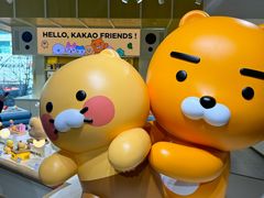 -KAKAO FRIENDS(弘大店)