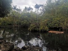 -海口火山口国家地质公园