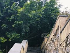 -英德宝晶宫天鹅湖茶语温泉