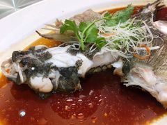 -龙悦湾酒家·八阵鱼生·渔人码头店