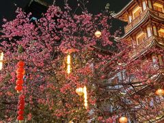-大佛古寺