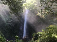 -莫里热带雨林景区