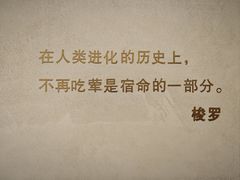 -荷恬·精致蔬食料理(富国街店)