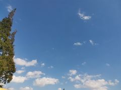 -前小桔亲子创意农场·草莓采摘·露营烧烤