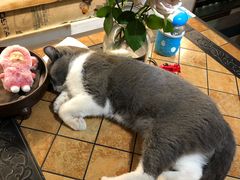 -花十悦·鲜花咖啡餐厅(振业城一期店)