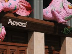 -帕帕拉兹宠物(亚洲旗舰店)