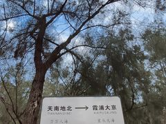 -大京沙滩