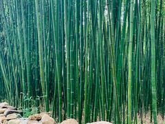 -竹泉村旅游度假区