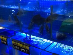 -状元楼(金溪路店)