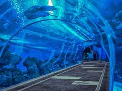 -成都浩海立方海洋公园