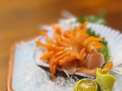 北极贝-KITON喜豚(清晖园店)