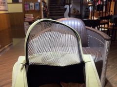 -宠颐生斯嘉宠物医院·急重症·心内科(谷阳北路分院)