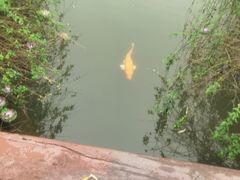 -咸宁万豪温泉谷度假区