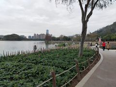-顺峰山公园