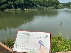 -沙家浜风景区